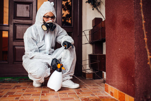 Reliable Ant Control contractor in Hamilton, GA by Nex Pest Control